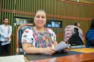 OME claudia sierra perez