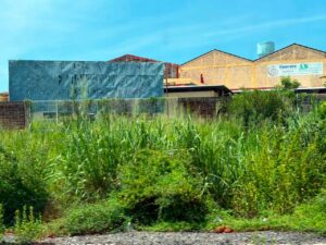 ROJA Agroindustrias del Sur