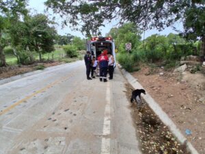 ROJA LOS JÓVENES