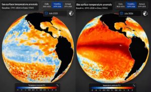 SOCIALES EL NIÑO 2