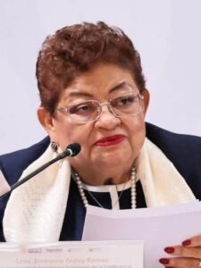 principal ernestina godoy