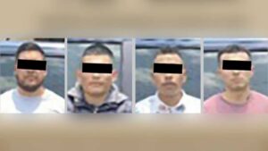 roja los plagiarios