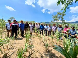 SAN LUIS CAMPESINOS DE CUANA