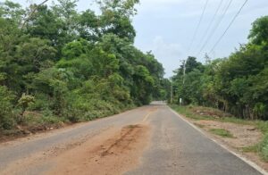 SAN LUIS LA CARRETERA (1)