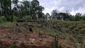 estado chilpancingo sin agua