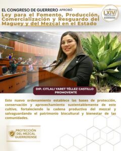CONGRESO LEY MEZCALERA