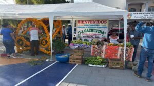 IGUALAPA PREPARAN EXPOSICIONES (1)