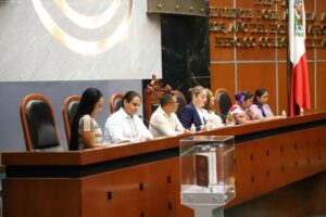 congreso parlamento pueblos indigenas (1)