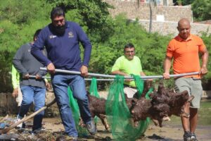 estado limpieza (1)